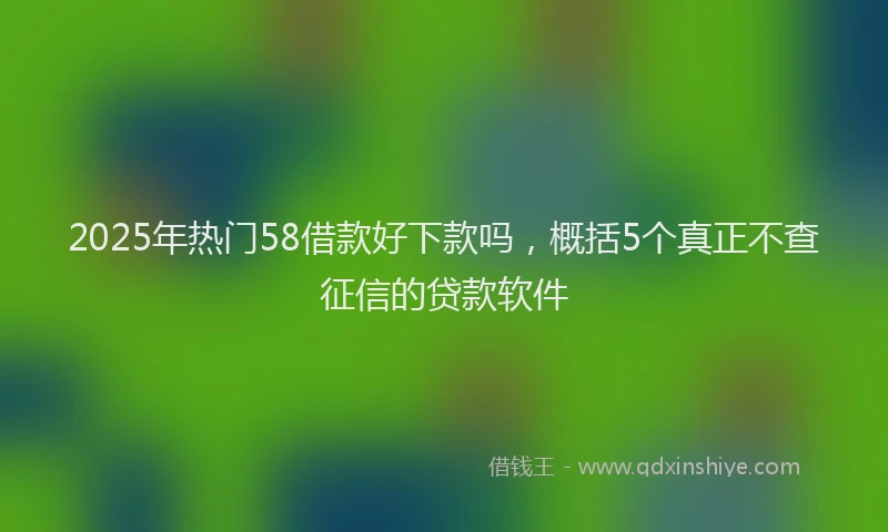 2025年热门58借款好下款吗，概括5个真正不查征信的贷款软件