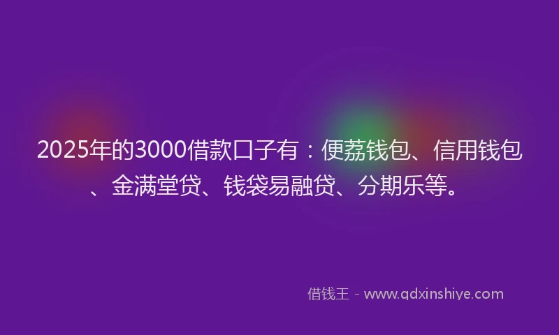 2025年的3000借款口子有：便荔钱包、信用钱包、金满堂贷、钱袋易融贷、分期乐等。