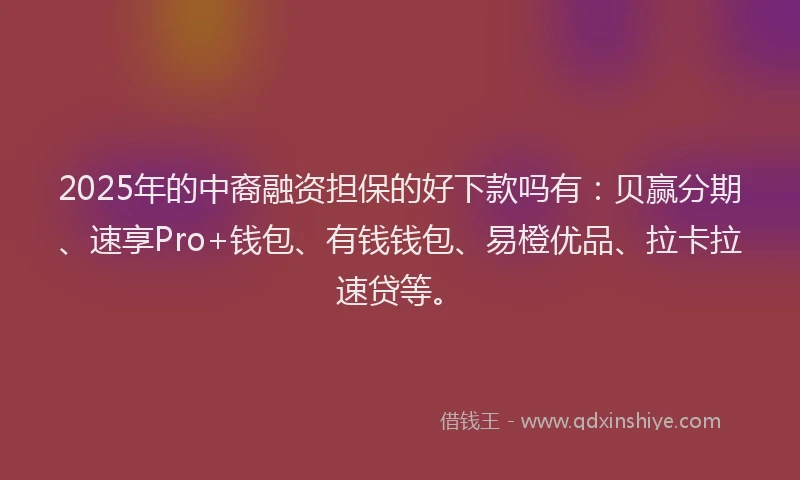 2025年的中裔融资担保的好下款吗有：贝赢分期、速享Pro+钱包、有钱钱包、易橙优品、拉卡拉速贷等。