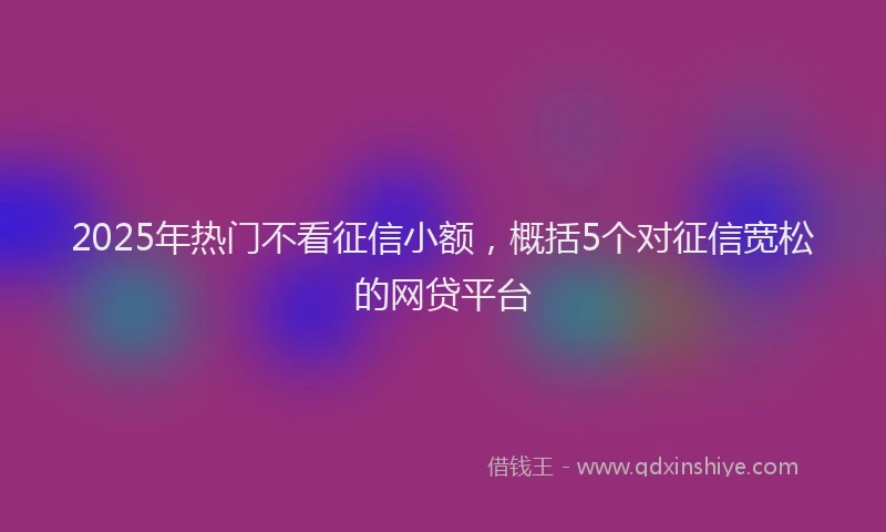 2025年热门不看征信小额，概括5个对征信宽松的网贷平台