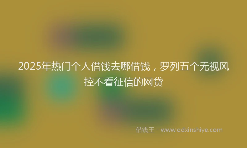 2025年热门个人借钱去哪借钱，罗列五个无视风控不看征信的网贷