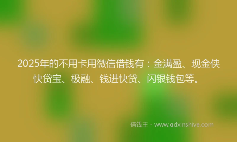 2025年的不用卡用微信借钱有：金满盈、现金侠快贷宝、极融、钱进快贷、闪银钱包等。