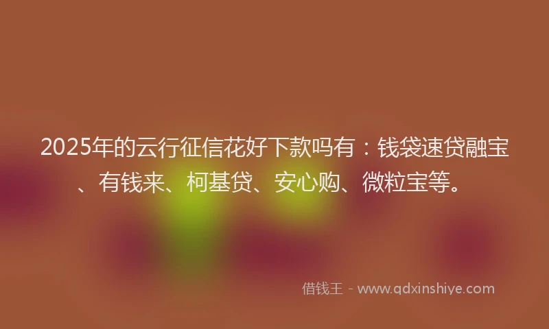 2025年的云行征信花好下款吗有：钱袋速贷融宝、有钱来、柯基贷、安心购、微粒宝等。