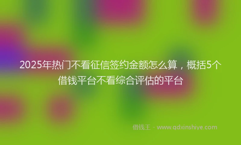 2025年热门不看征信签约金额怎么算，概括5个借钱平台不看综合评估的平台