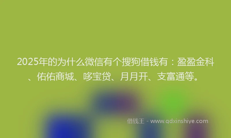 2025年的为什么微信有个搜狗借钱有：盈盈金科、佑佑商城、哆宝贷、月月开、支富通等。