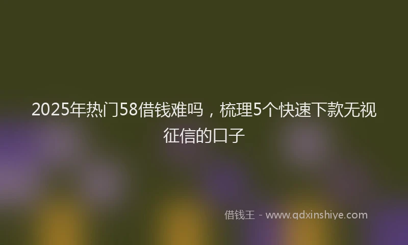2025年热门58借钱难吗，梳理5个快速下款无视征信的口子