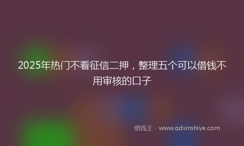 2025年热门不看征信二押，整理五个可以借钱不用审核的口子