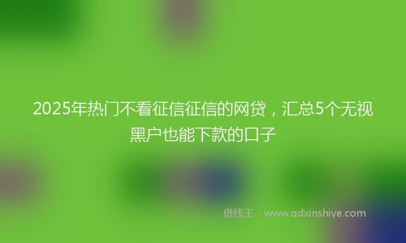 2025年热门不看征信征信的网贷，汇总5个无视黑户也能下款的口子