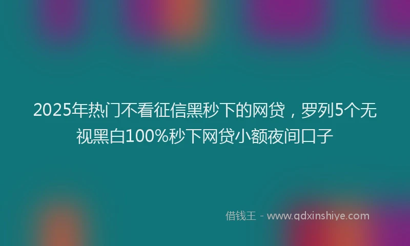 2025年热门不看征信黑秒下的网贷，罗列5个无视黑白100%秒下网贷小额夜间口子