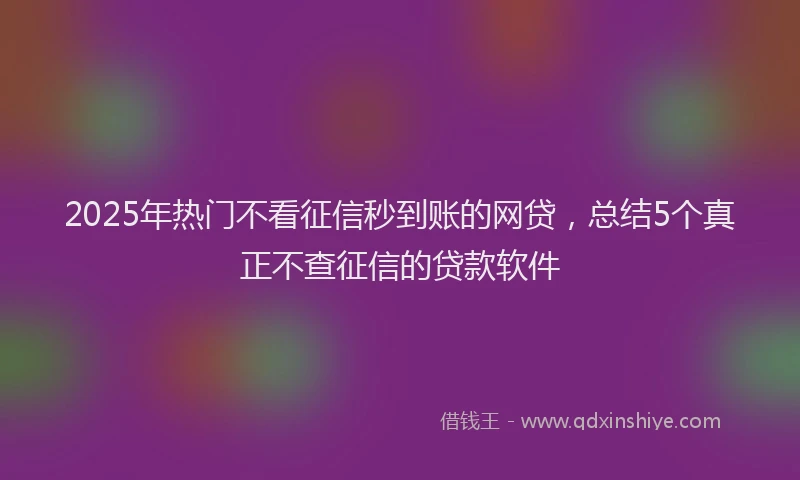 2025年热门不看征信秒到账的网贷，总结5个真正不查征信的贷款软件