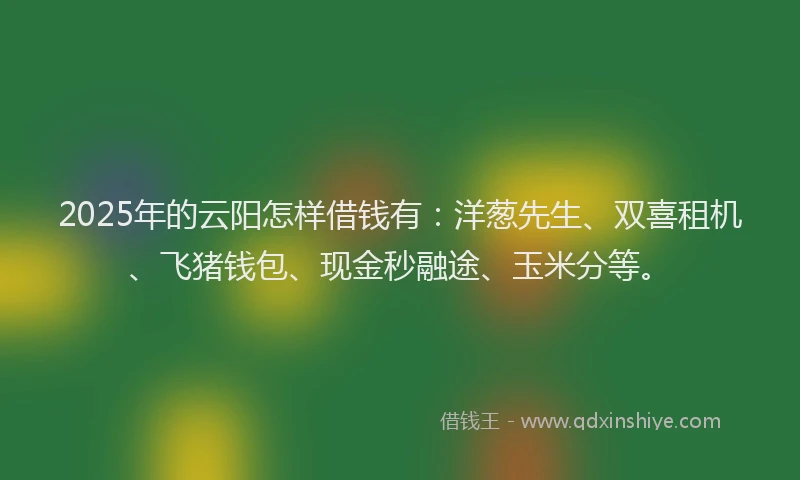 2025年的云阳怎样借钱有：洋葱先生、双喜租机、飞猪钱包、现金秒融途、玉米分等。