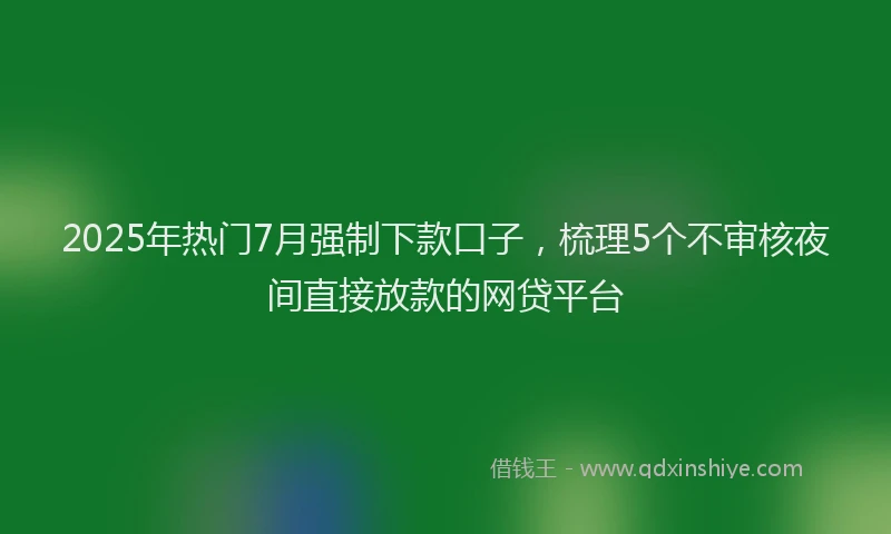 2025年热门7月强制下款口子，梳理5个不审核夜间直接放款的网贷平台