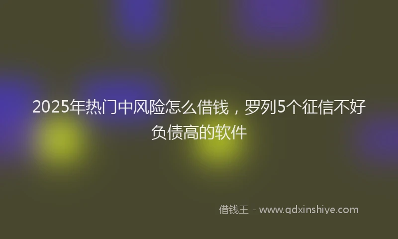 2025年热门中风险怎么借钱，罗列5个征信不好负债高的软件