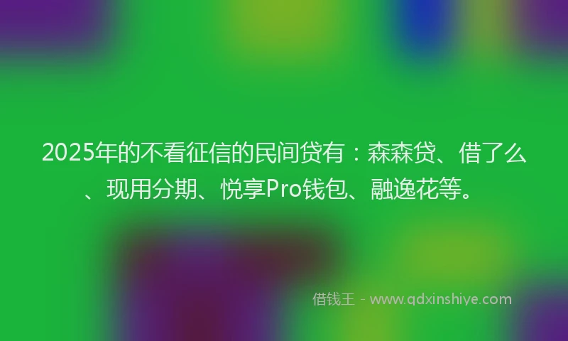 2025年的不看征信的民间贷有：森森贷、借了么、现用分期、悦享Pro钱包、融逸花等。