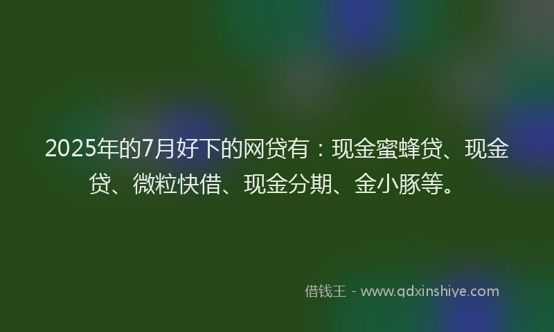 2025年的7月好下的网贷有：现金蜜蜂贷、现金贷、微粒快借、现金分期、金小豚等。
