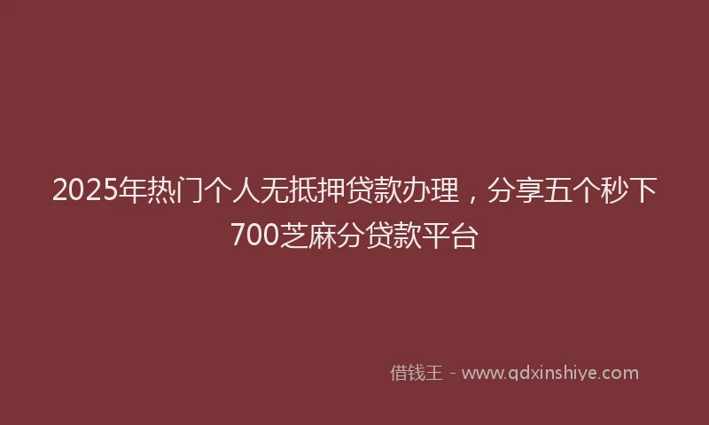 2025年热门个人无抵押贷款办理，分享五个秒下700芝麻分贷款平台