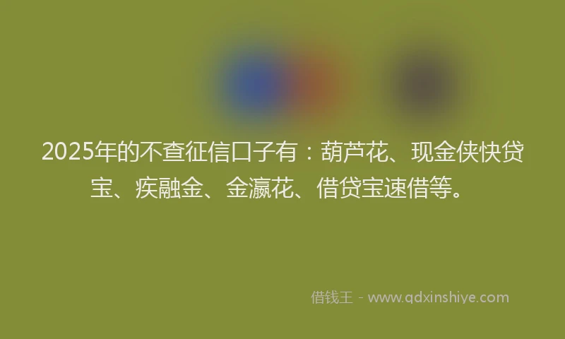 2025年的不查征信口子有：葫芦花、现金侠快贷宝、疾融金、金瀛花、借贷宝速借等。