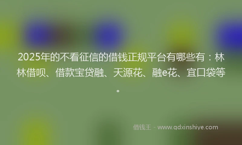 2025年的不看征信的借钱正规平台有哪些有：林林借呗、借款宝贷融、天源花、融e花、宜口袋等。