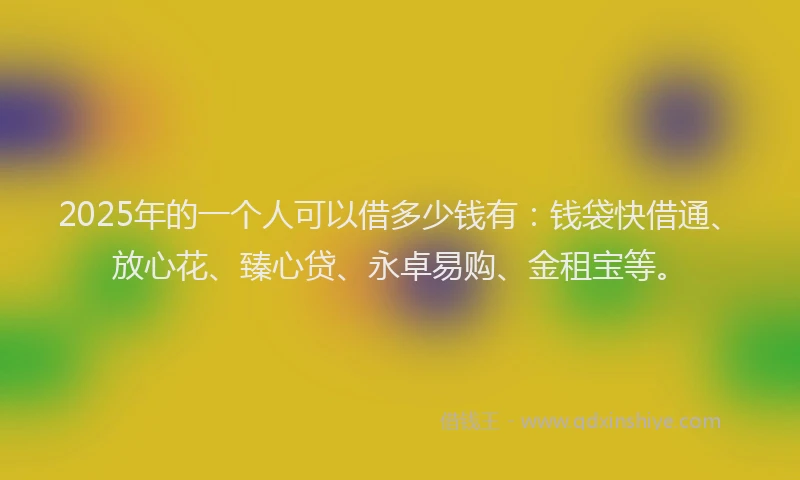 2025年的一个人可以借多少钱有：钱袋快借通、放心花、臻心贷、永卓易购、金租宝等。