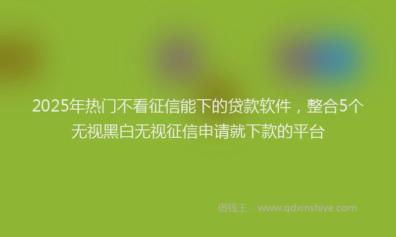 2025年热门不看征信能下的贷款软件，整合5个无视黑白无视征信申请就下款的平台