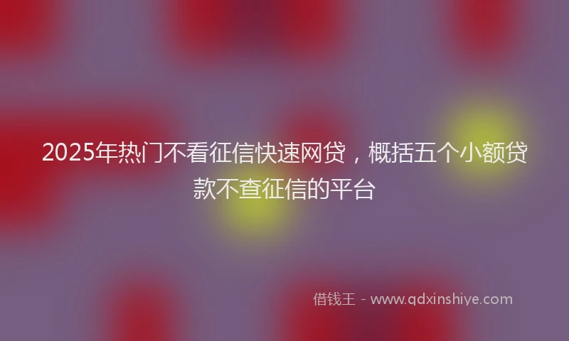 2025年热门不看征信快速网贷，概括五个小额贷款不查征信的平台