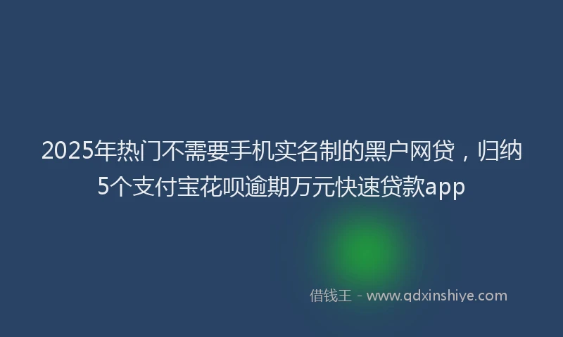 2025年热门不需要手机实名制的黑户网贷，归纳5个支付宝花呗逾期万元快速贷款app