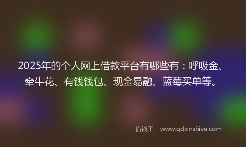 2025年的个人网上借款平台有哪些有：呼吸金、牵牛花、有钱钱包、现金易融、蓝莓买单等。