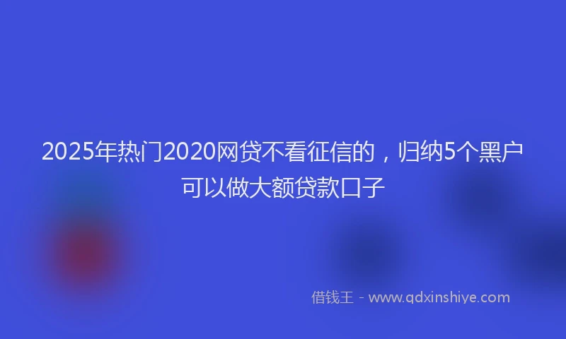 2025年热门2020网贷不看征信的，归纳5个黑户可以做大额贷款口子