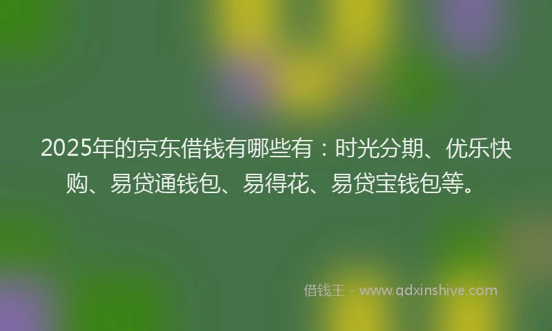 2025年的京东借钱有哪些有：时光分期、优乐快购、易贷通钱包、易得花、易贷宝钱包等。