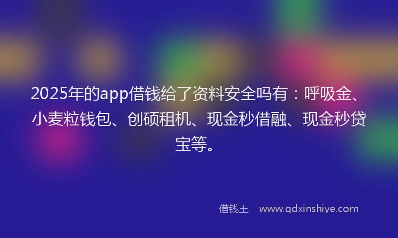2025年的app借钱给了资料安全吗有：呼吸金、小麦粒钱包、创硕租机、现金秒借融、现金秒贷宝等。