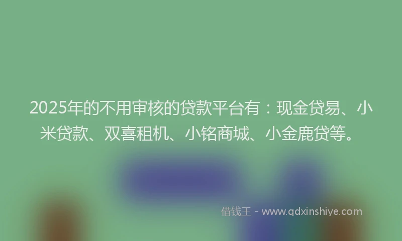 2025年的不用审核的贷款平台有：现金贷易、小米贷款、双喜租机、小铭商城、小金鹿贷等。