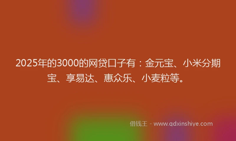 2025年的3000的网贷口子有：金元宝、小米分期宝、享易达、惠众乐、小麦粒等。
