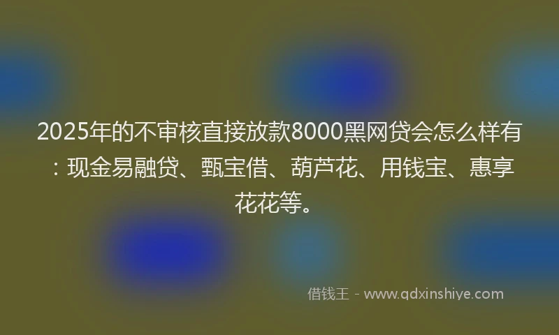 2025年的不审核直接放款8000黑网贷会怎么样有：现金易融贷、甄宝借、葫芦花、用钱宝、惠享花花等。
