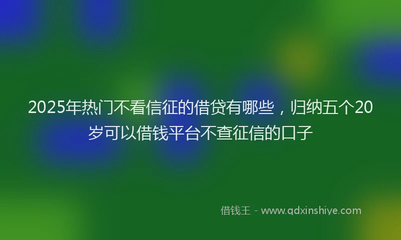 2025年热门不看信征的借贷有哪些，归纳五个20岁可以借钱平台不查征信的口子