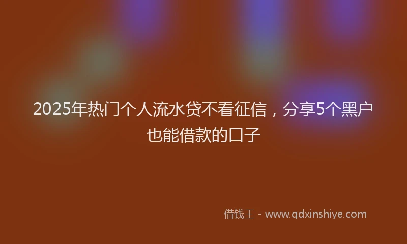 2025年热门个人流水贷不看征信，分享5个黑户也能借款的口子