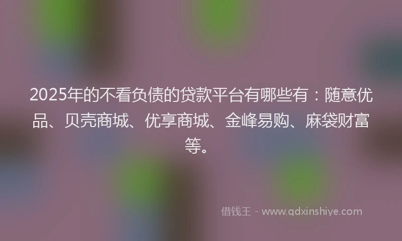 2025年的不看负债的贷款平台有哪些有：随意优品、贝壳商城、优享商城、金峰易购、麻袋财富等。