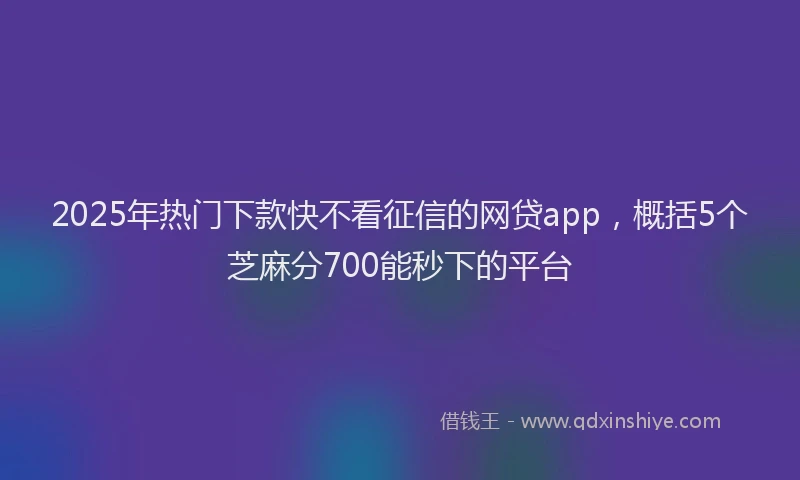 2025年热门下款快不看征信的网贷app，概括5个芝麻分700能秒下的平台