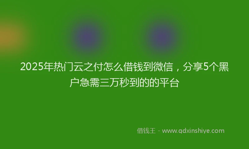 2025年热门云之付怎么借钱到微信，分享5个黑户急需三万秒到的的平台