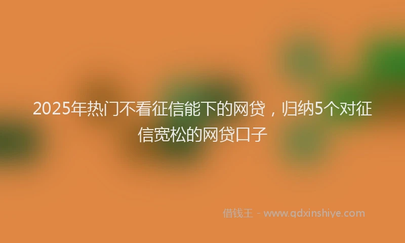2025年热门不看征信能下的网贷，归纳5个对征信宽松的网贷口子