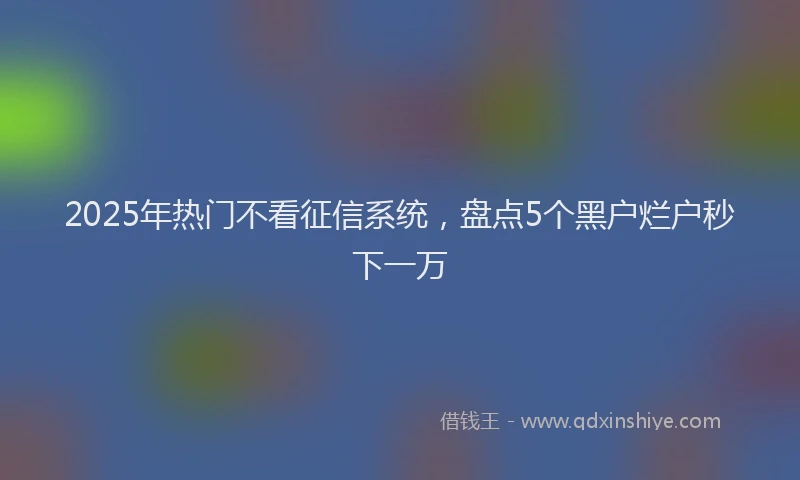 2025年热门不看征信系统，盘点5个黑户烂户秒下一万