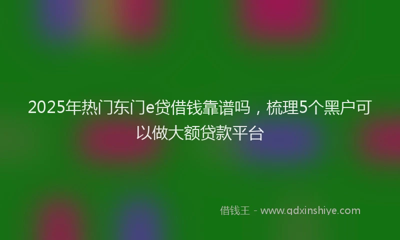 2025年热门东门e贷借钱靠谱吗，梳理5个黑户可以做大额贷款平台