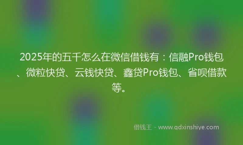 2025年的五千怎么在微信借钱有：信融Pro钱包、微粒快贷、云钱快贷、鑫贷Pro钱包、省呗借款等。