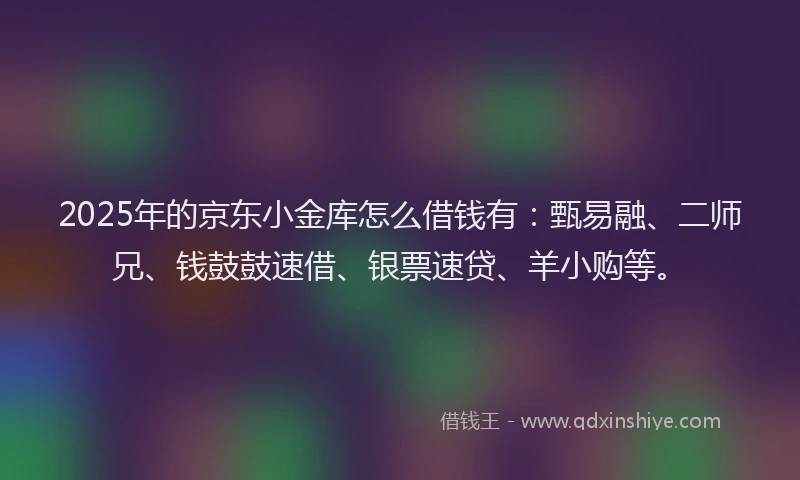 2025年的京东小金库怎么借钱有：甄易融、二师兄、钱鼓鼓速借、银票速贷、羊小购等。