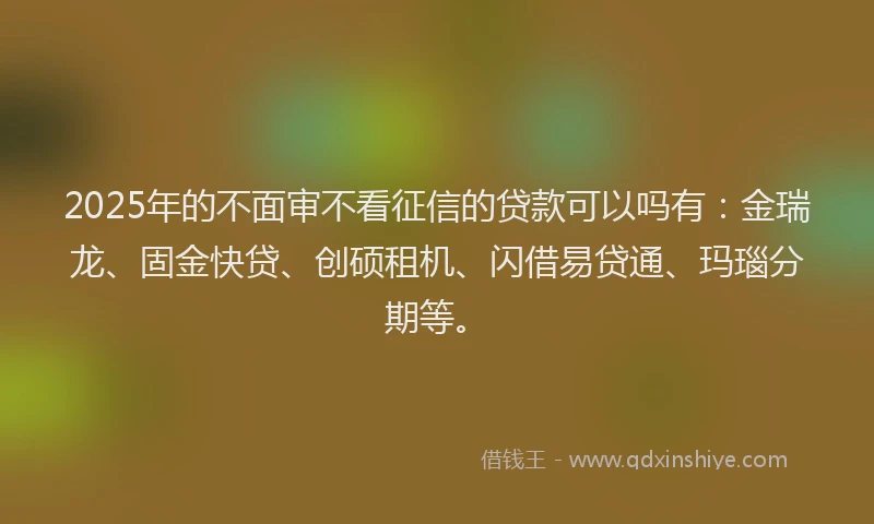 2025年的不面审不看征信的贷款可以吗有：金瑞龙、固金快贷、创硕租机、闪借易贷通、玛瑙分期等。