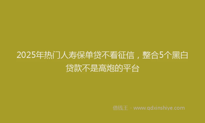 2025年热门人寿保单贷不看征信，整合5个黑白贷款不是高炮的平台