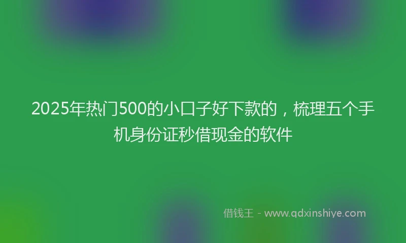 2025年热门500的小口子好下款的，梳理五个手机身份证秒借现金的软件