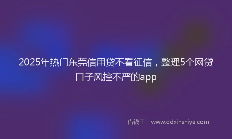 2025年热门东莞信用贷不看征信，整理5个网贷口子风控不严的app