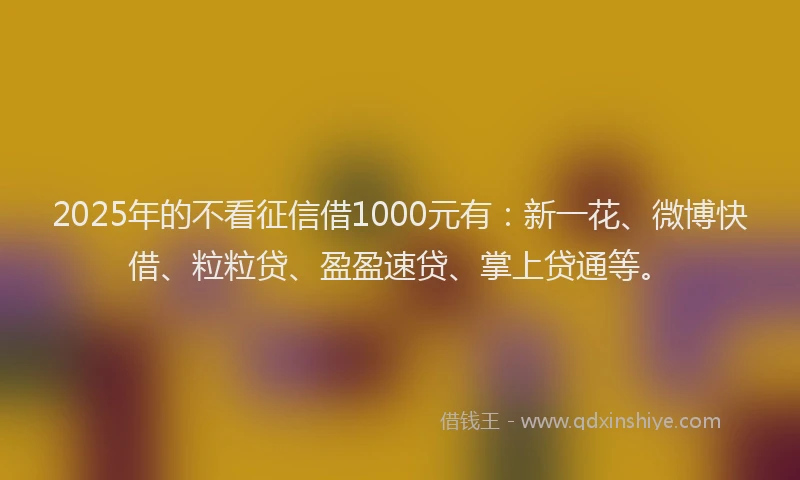 2025年的不看征信借1000元有：新一花、微博快借、粒粒贷、盈盈速贷、掌上贷通等。