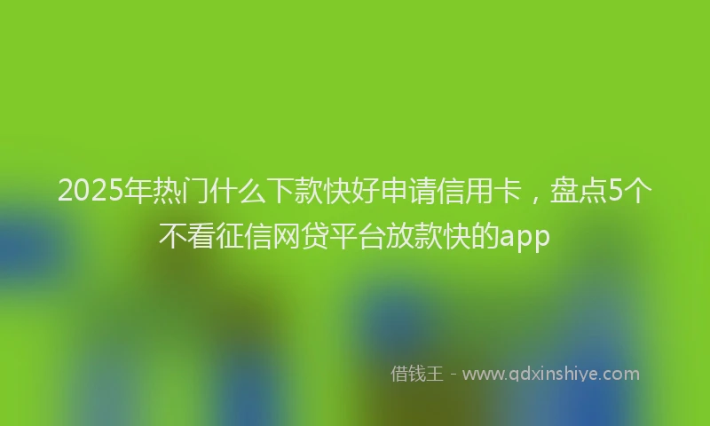 2025年热门什么下款快好申请信用卡，盘点5个不看征信网贷平台放款快的app