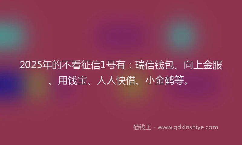 2025年的不看征信1号有：瑞信钱包、向上金服、用钱宝、人人快借、小金鹤等。